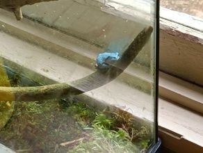 カエル館に行ってきました