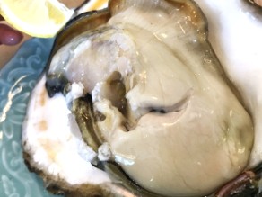 伊良湖岬の初夏の名物『岩ガキ』を食べに　2025