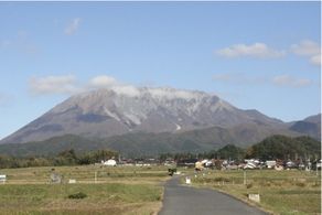 ブナの木