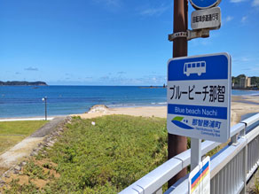 今年は和歌山で夏の思い出をつくりませんか??