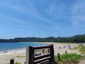 あさんぽ行きませんか？？