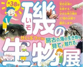 【磯の生物展】開催決定！！
