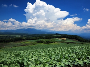 本日の最高気温は26℃／夏の特別逸品を味わうのも8/31まで