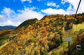 もうすぐ紅葉シーズン！丸沼高原でアクティビティーを満喫！