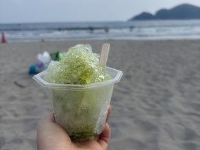 初めての南伊豆の夏