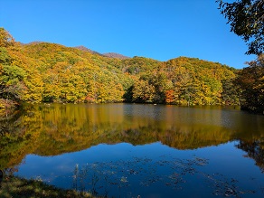 休暇村裏磐梯の紅葉の見頃は？