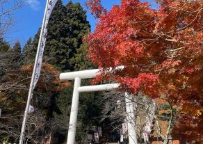 【11/14撮影】　土津神社の紅葉