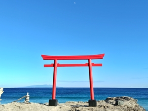初詣は歴史ある海の見える神社へ