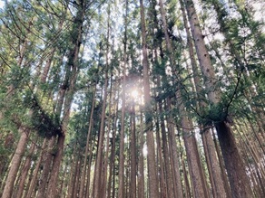 寒波到来の週末 発心門王子付近を歩いてみた