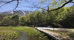 奥裾花自然園（長野県長野市）