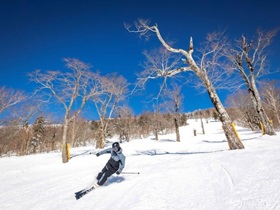 グランデコ送迎バスについて3/1~3/29