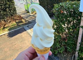 冬でも食べたい「びわソフト」店内編