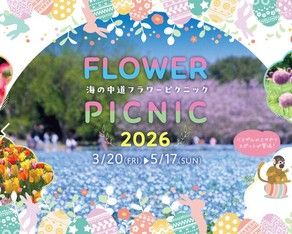 海の中道フラワーピクニック2026のお知らせ!