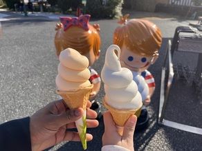 道の駅 ローズマリー公園まで行って来ました！