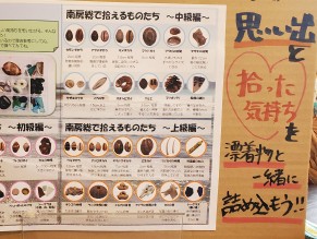 先日、「漂着物展 2026IN南房総」に行ってきまして…