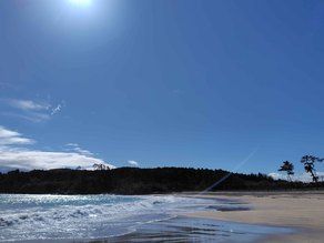 春の小田の浜海水浴場