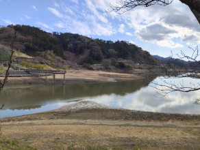 「桜」見ごろにはまだ早かった…