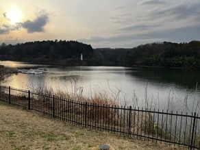 メッツァビレッジでのんびりお散歩🍃