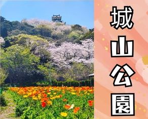お花見はいかが？【 城山公園 】