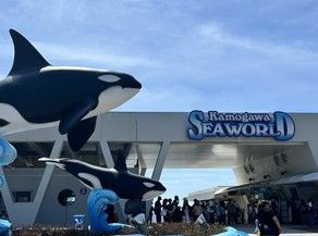 日帰り観光におすすめ!「鴨川シーワールド」