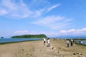 知林ヶ島砂州情報