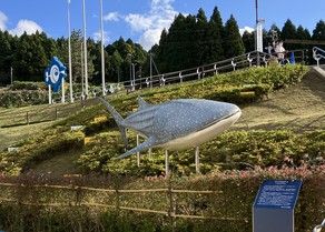のとじま水族館　着々と工事が進んでいます！