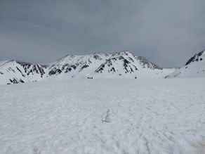 今年も雪の大谷ツアーご参加ありがとうございました！