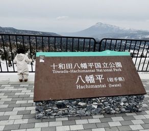 八幡平アスピーテラインで楽しむ春の特別な体験