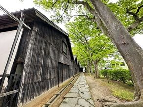 米処庄内の歴史を感じる新緑スポット～山居倉庫～