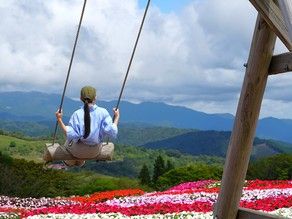夏の茶臼山高原楽しみ方ガイド
