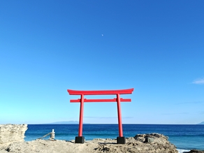 夏が来る前に、静かな神社を訪れませんか？