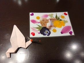 ７月4日（土）は「朱鷺のクラフト教室」を開催いたします。