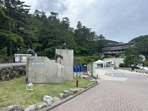 雨の日でも楽しめる水族館