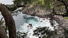 城ケ崎海岸に行ってきました