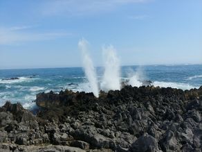 夏の涼を求めて①【岩井崎】