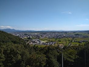 願いが叶いますように…