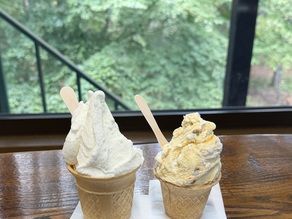 雫石の人気ジェラート店「松ぼっくり」🍦