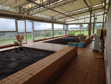 砂むし温泉
