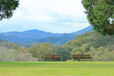 リピート応援企画一覧