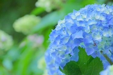 五感を満たす新たな島時間