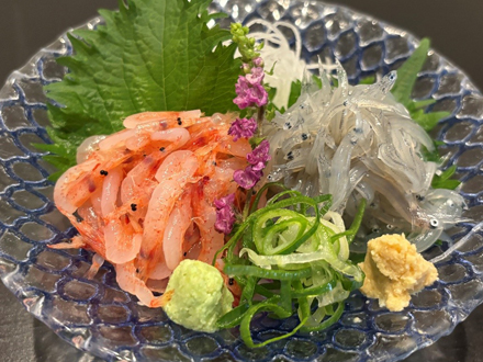 静岡県駿河湾の二大名物