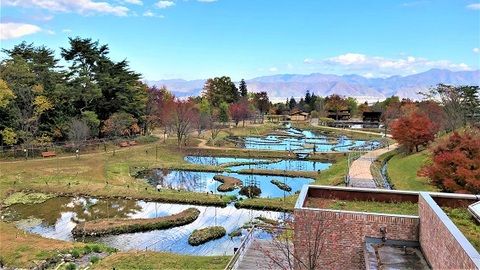 展望台からの風景