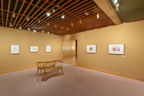 展示室
