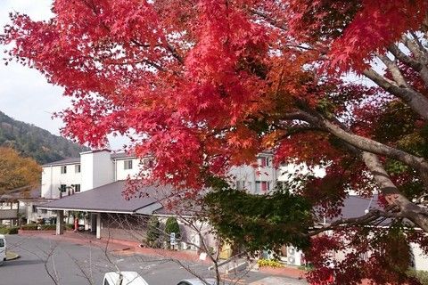 西館前より