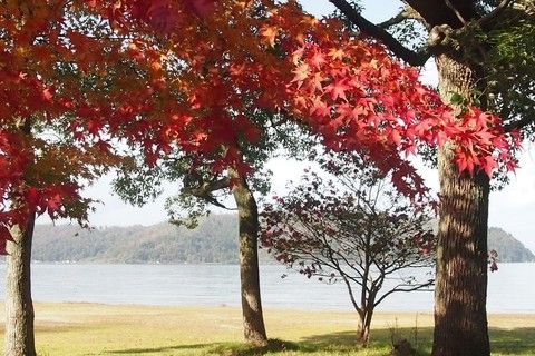 宮ヶ浜にて