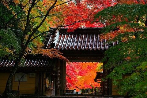 永源寺の紅葉