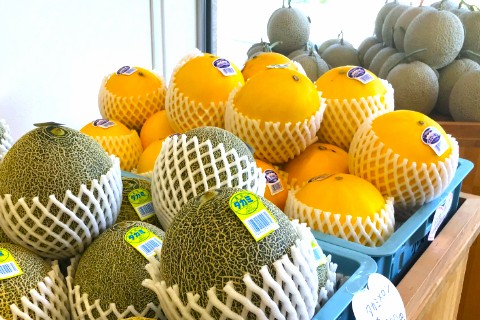 その時旬のメロン１玉プレゼント