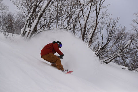 豪雪と極上のパウダースノー