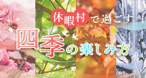 休暇村で過ごす四季の楽しみ方