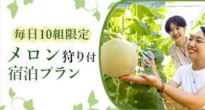 メロン狩り付宿泊プラン
